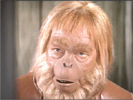 Dr. Zaius